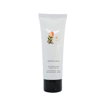 Mint Exfoliating Facial Polish.png