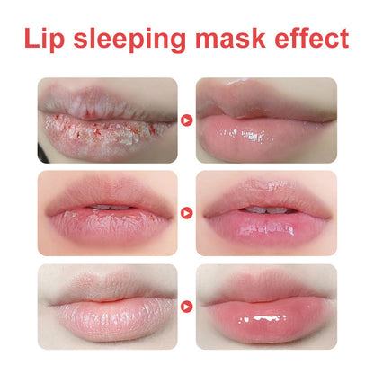 Korean Sleep Lip Mask for Moisturizing and Repairing